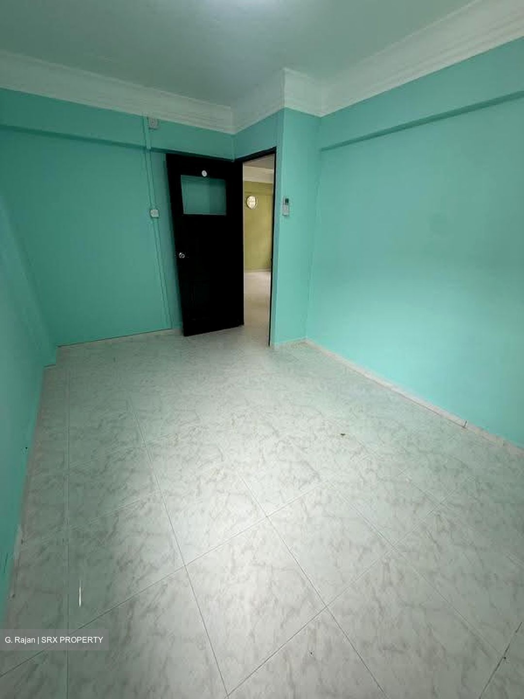Hougang Avenue 1 (D19), Shop House #612799331